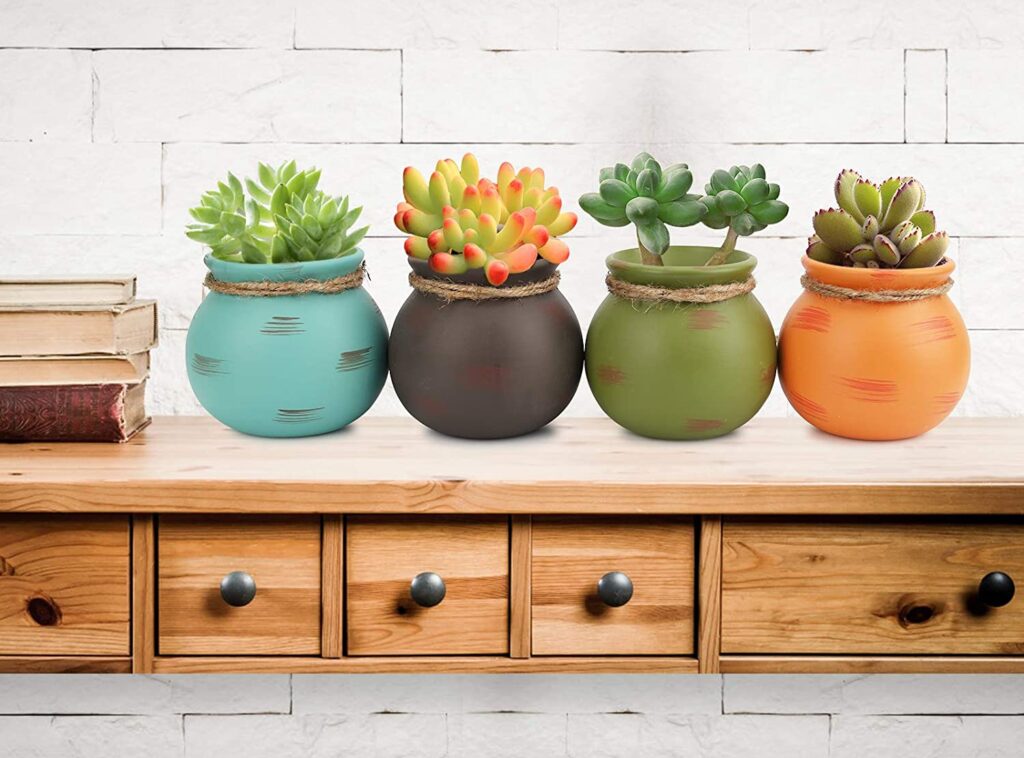 idee regalo per una mamma con l'hobby del giardinaggio